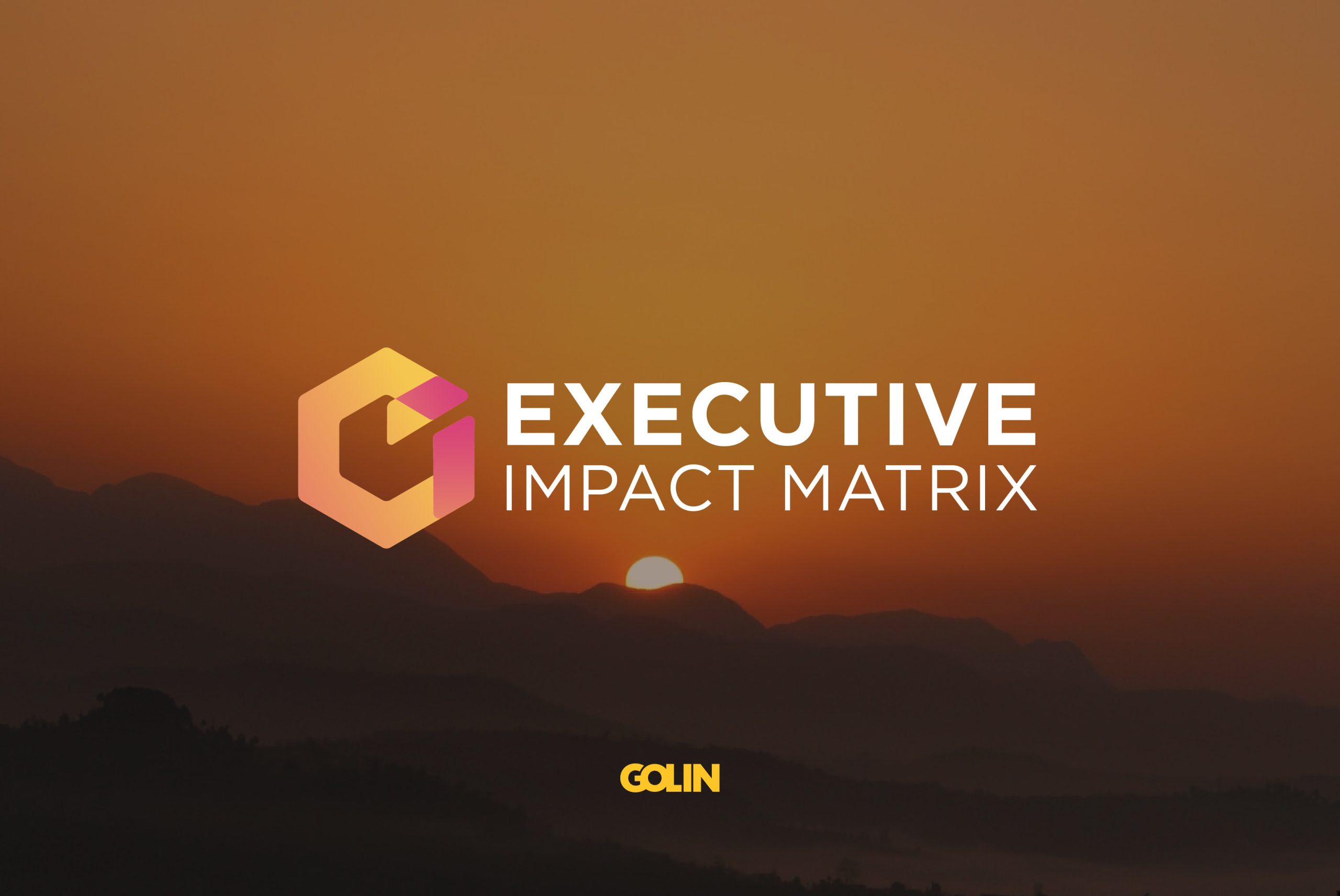 Executive Impact Matrix